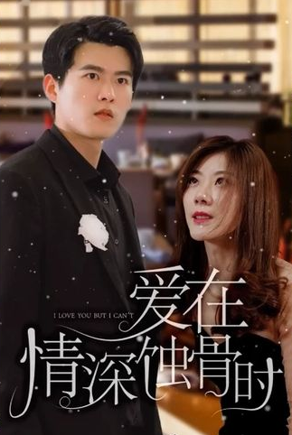 爱在情深蚀骨时 第101集