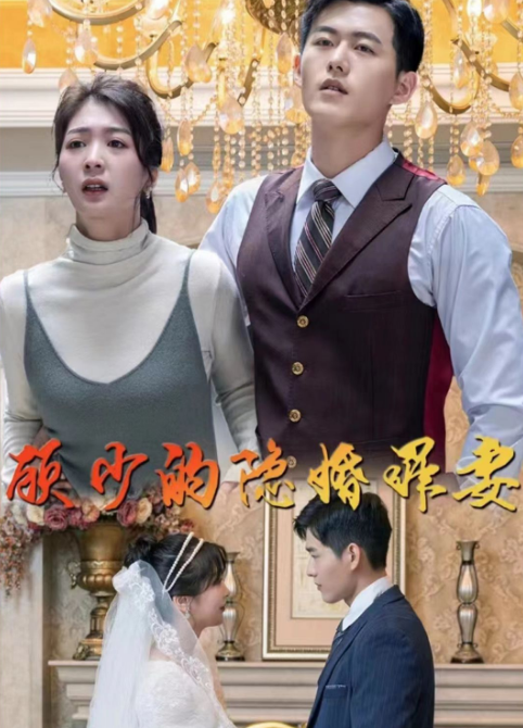 顾少的隐婚罪妻 第02集