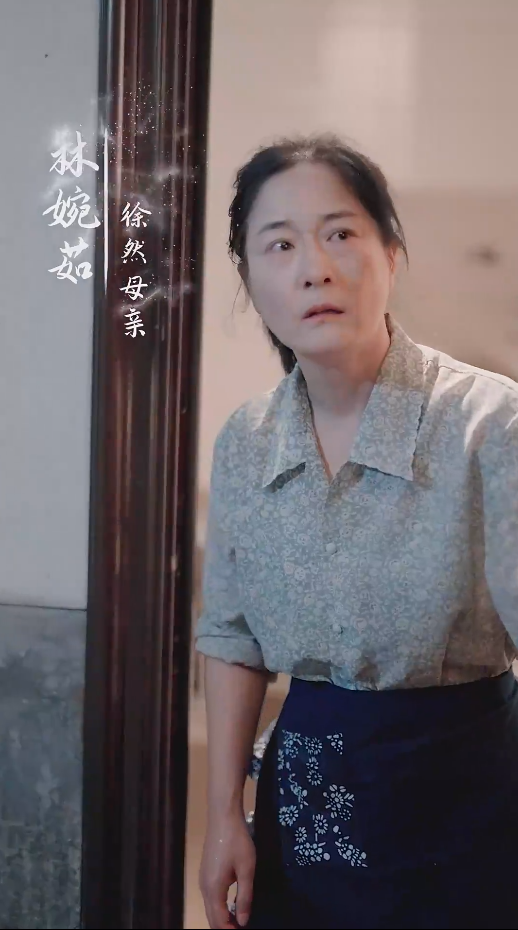 谁怜天下慈母心短剧 第01集