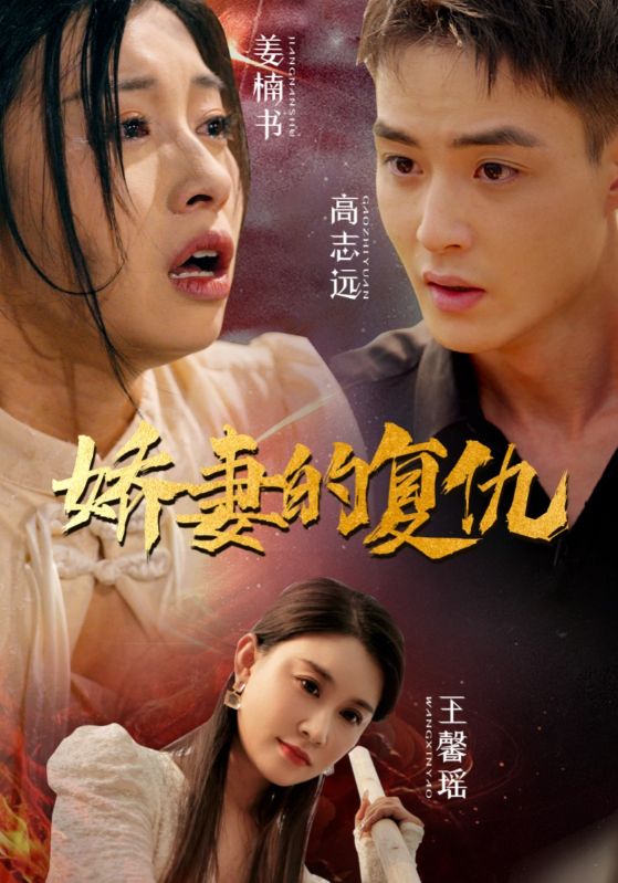 娇妻的复仇 第04集