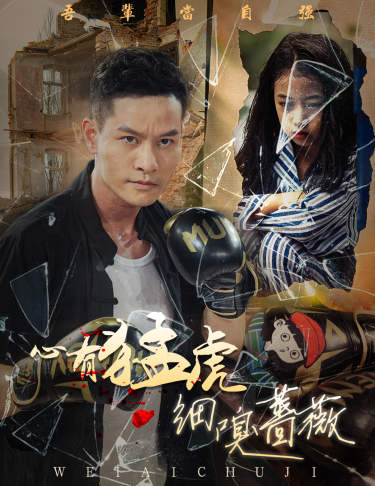 心有猛虎细嗅蔷薇 第01集