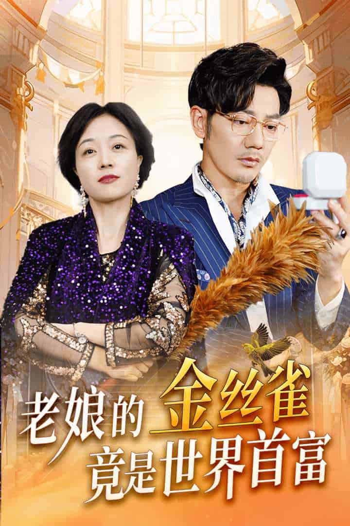 老娘的金丝雀竟是世界首富 第02集