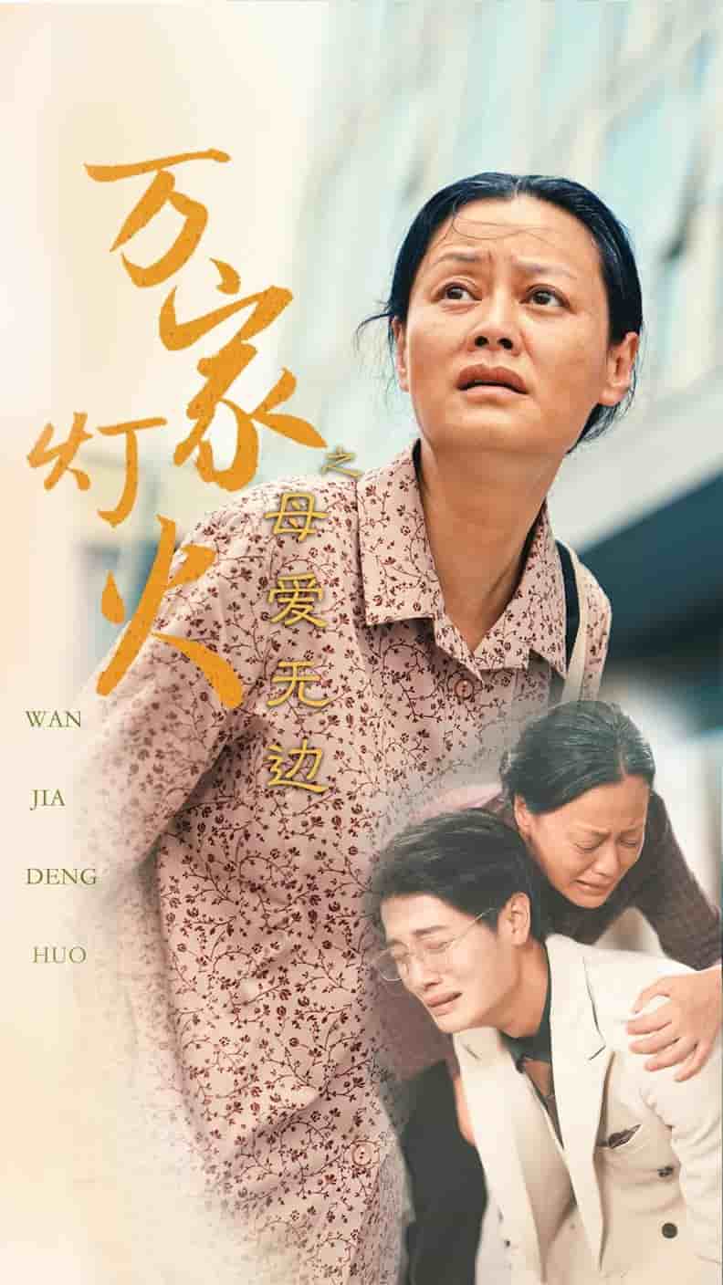 万家灯火之母爱无边 第02集