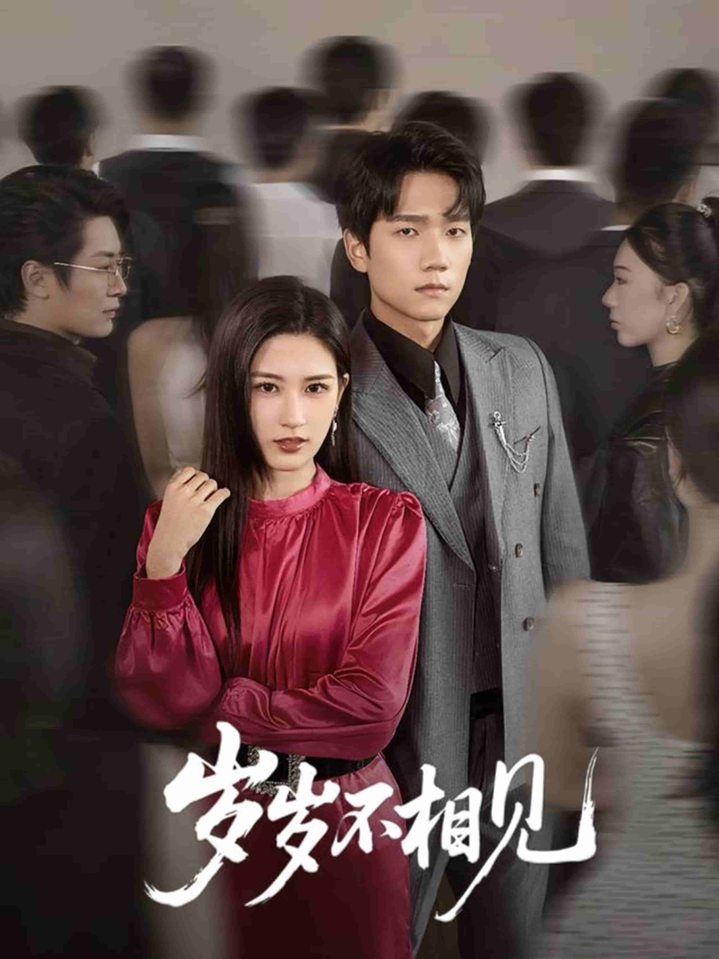 岁岁不相见(全集)