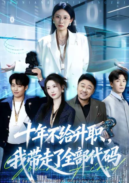 十年不给升职，我带走了全部代码(全集)