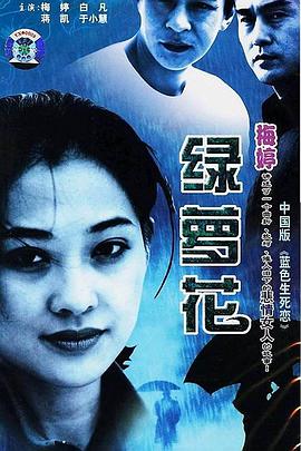 绿萝花 第22集