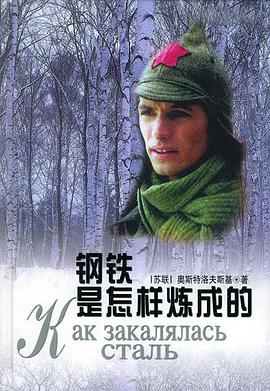 钢铁是怎样炼成的 第04集