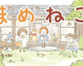豆豆猫 第05集