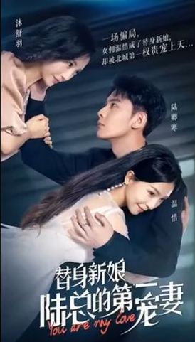替身新娘:陆总的第一宠妻 第01集