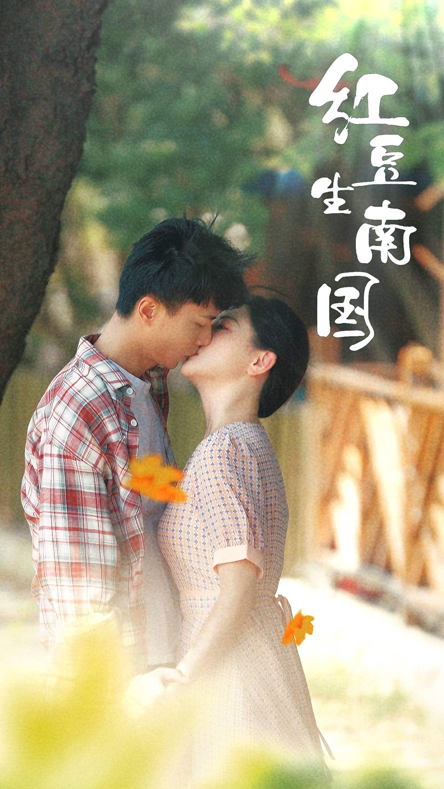 红豆生南国 第18集
