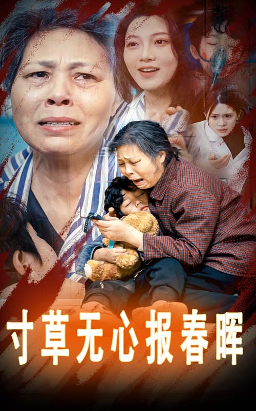 寸草无心报春晖 第24集