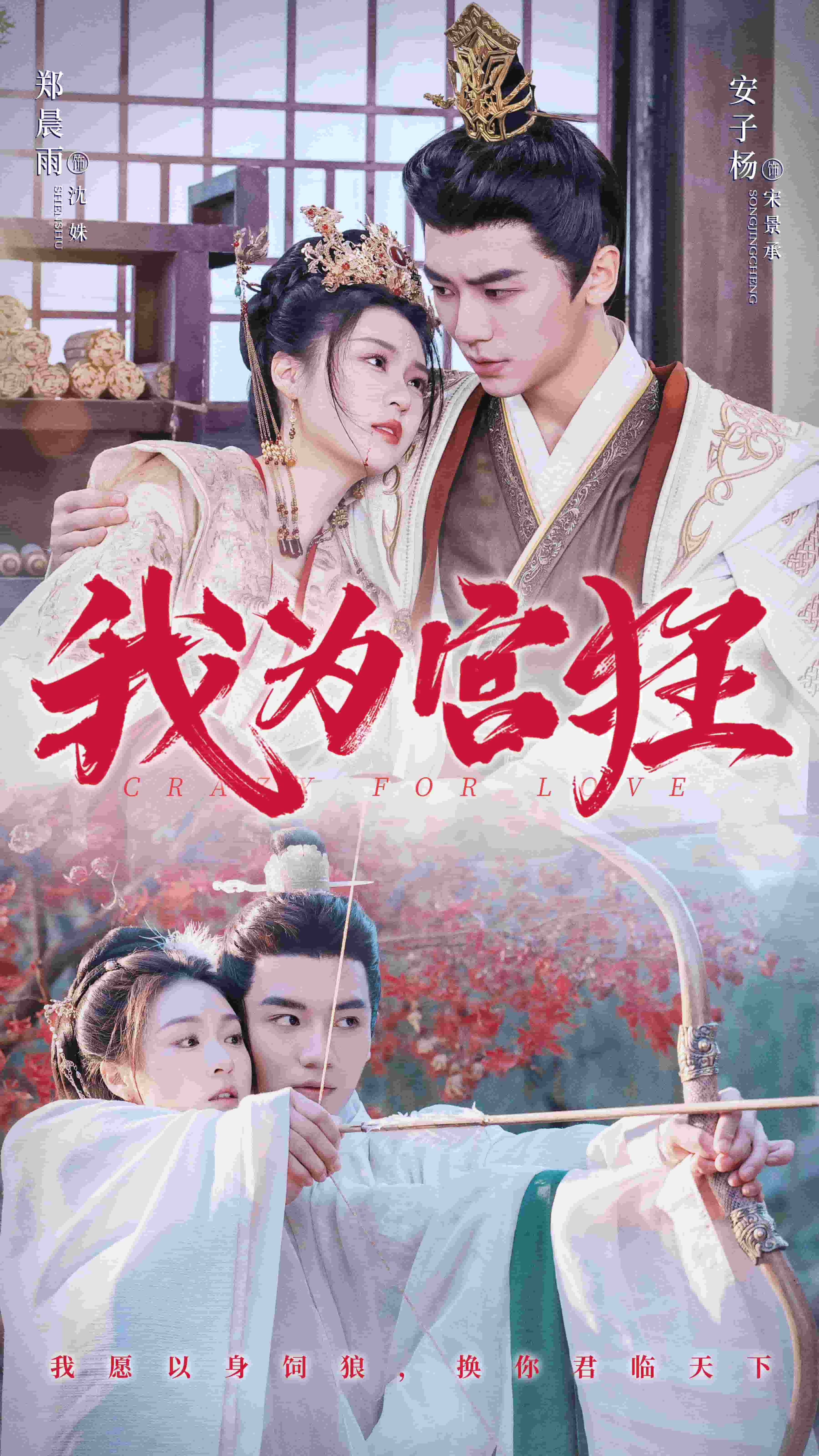 我为宫狂 第34集