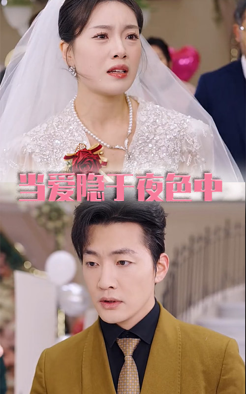 当爱隐于夜色中 第24集
