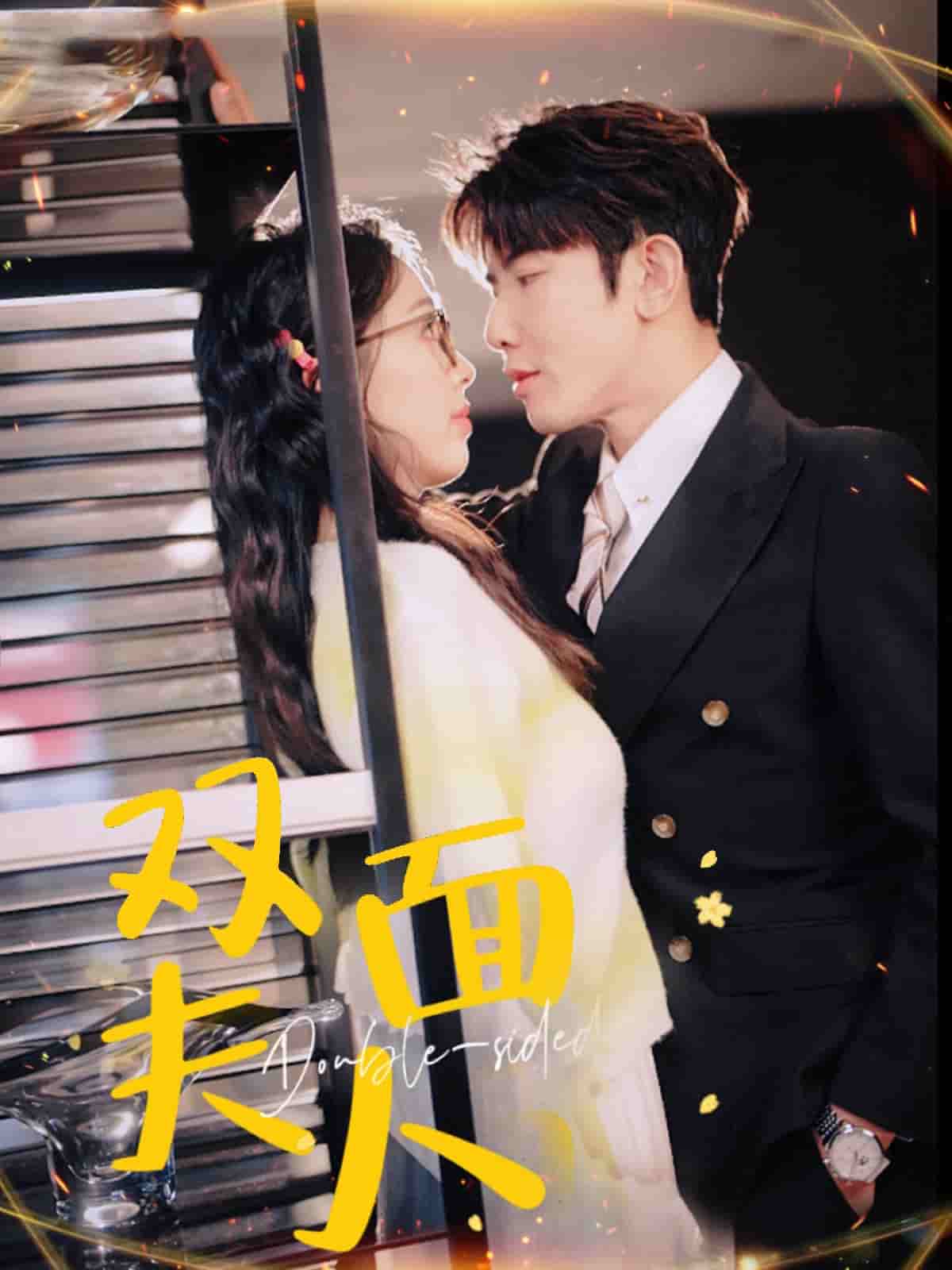 双面夫人 第19集