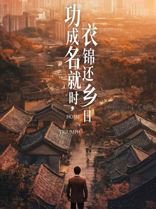 功成名就时衣锦还乡日 第17集