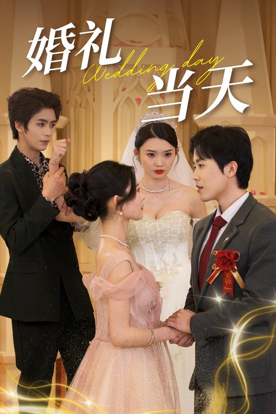 婚礼当天 第12集