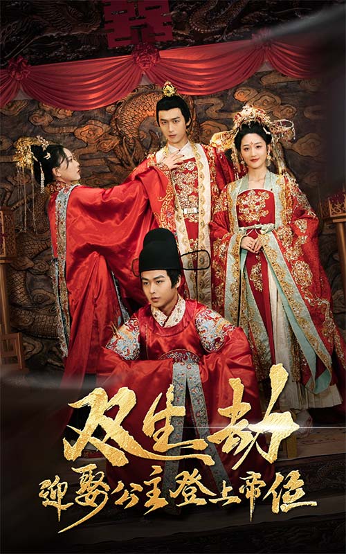 双生劫迎娶公主登上帝位 第16集
