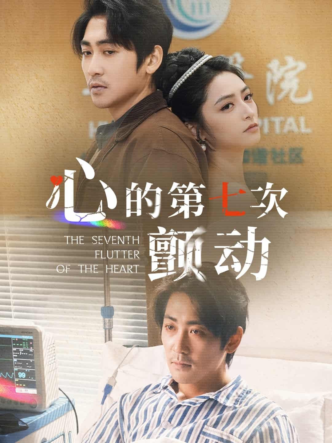 心的第七次颤动 第13集