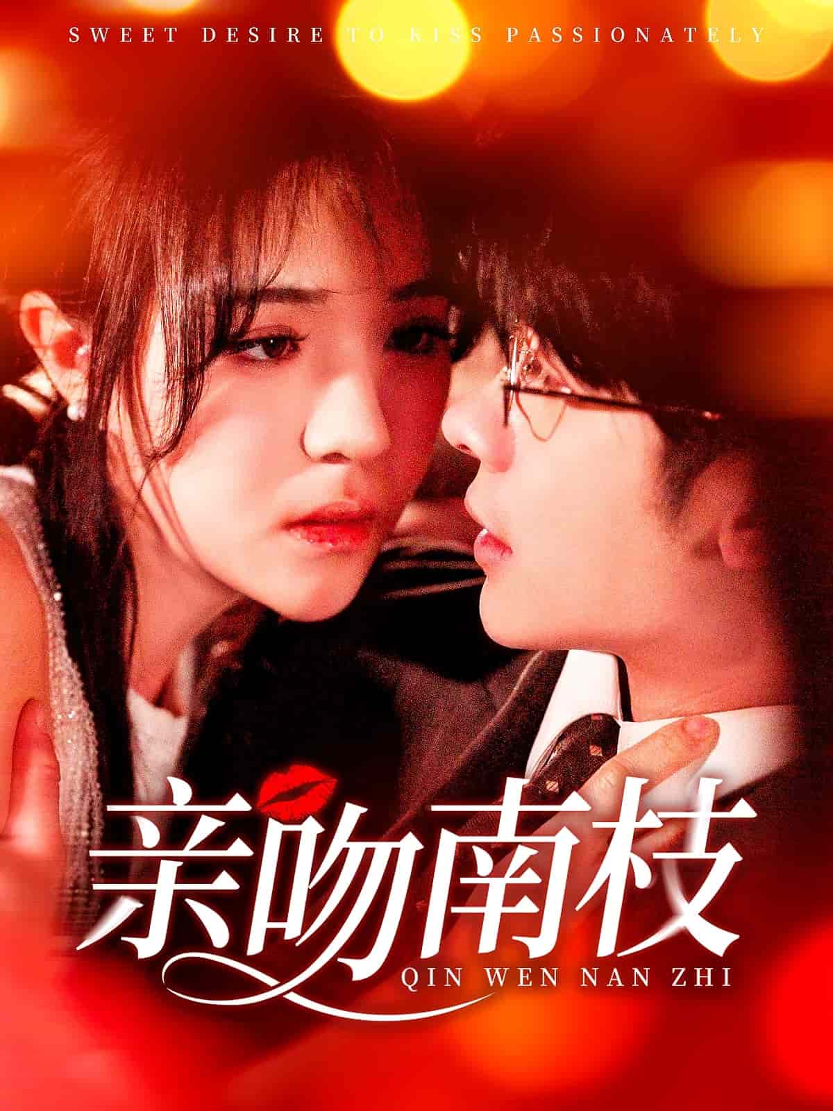 亲吻南枝 第95集