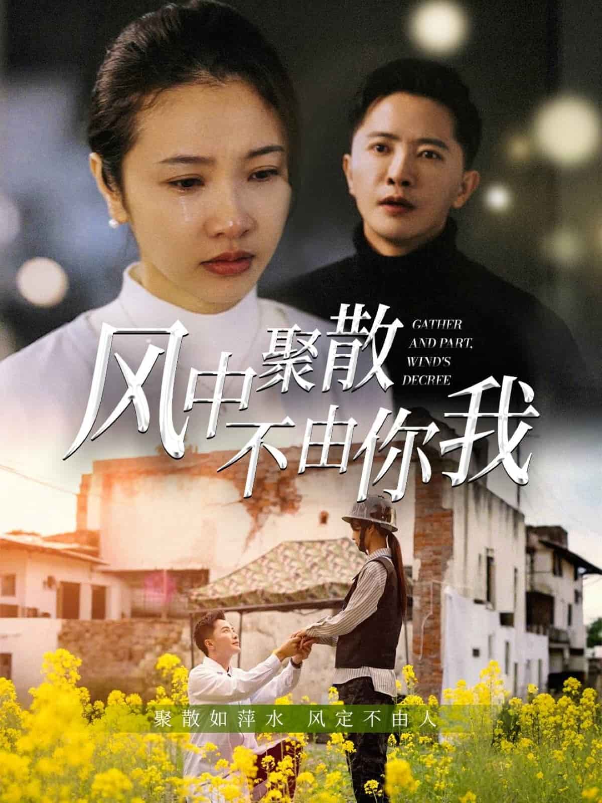 风中聚散不由你我 第41集(大结局)