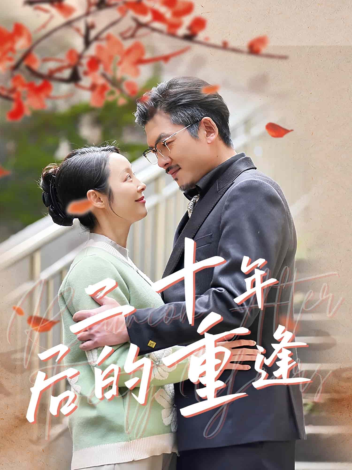二十年后的重逢 第28集