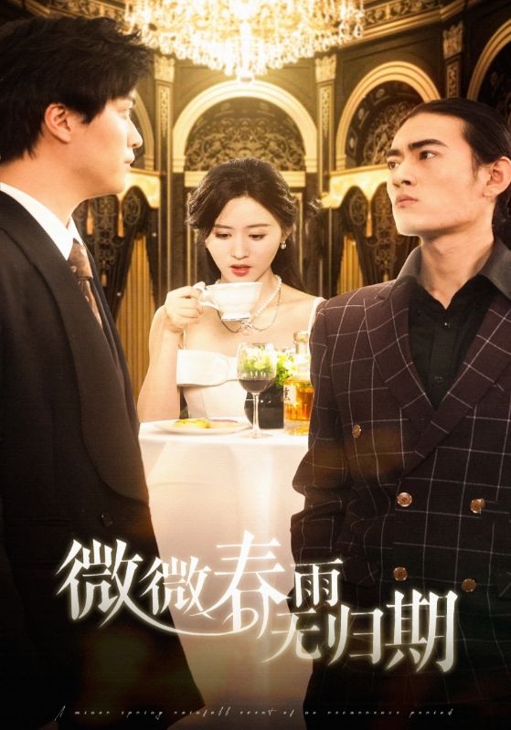 微微春雨无归期 第37集