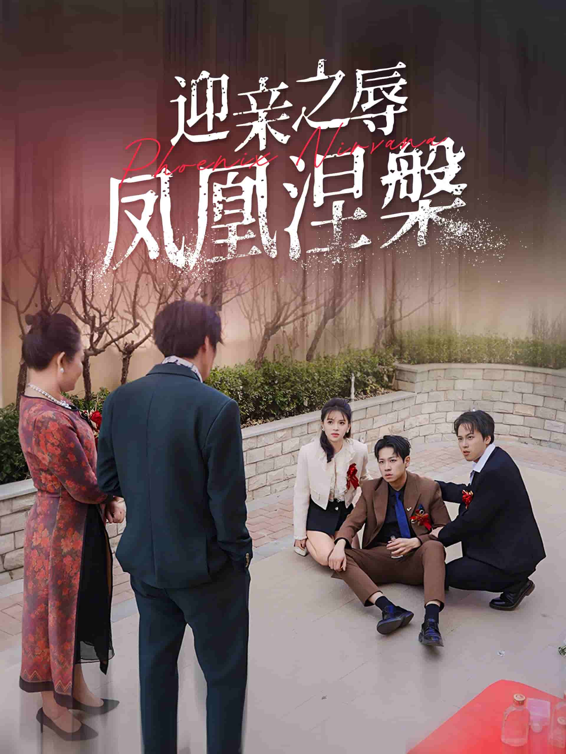 迎亲之辱凤凰涅槃 第6集