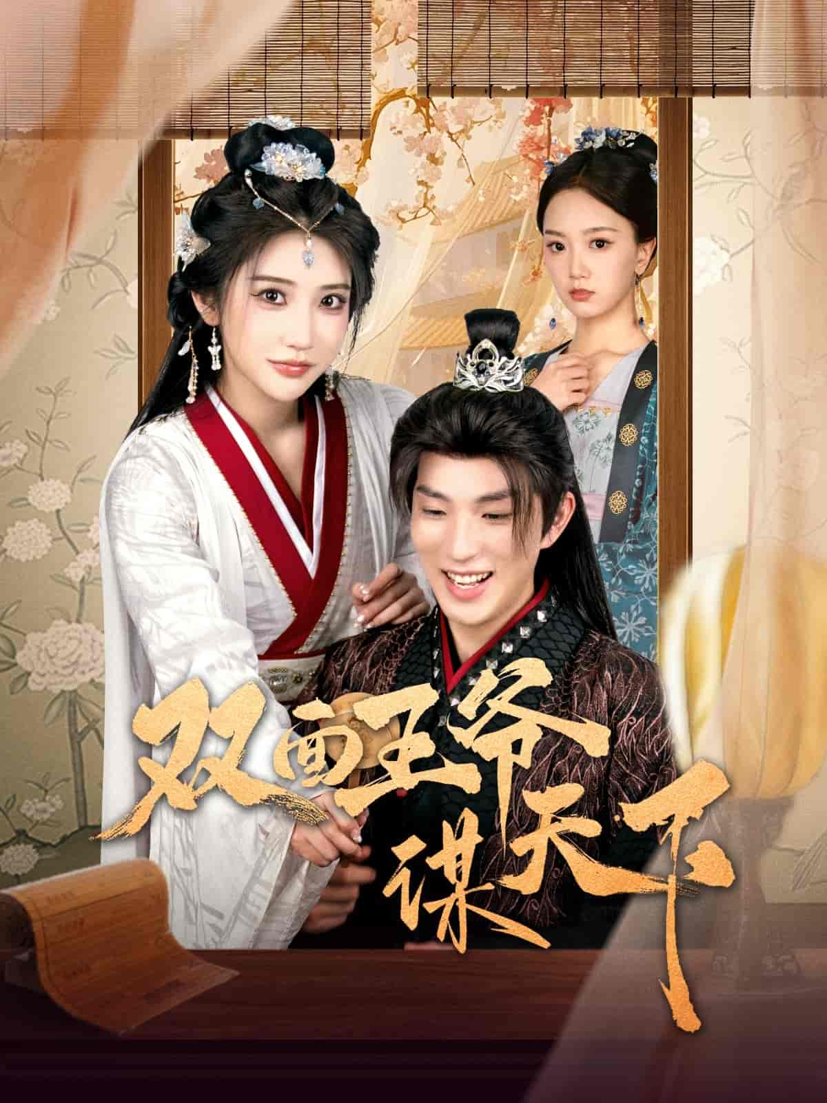 双面王爷谋天下 第50集