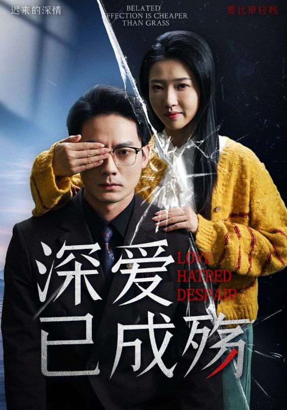 深爱已成殇 第50集