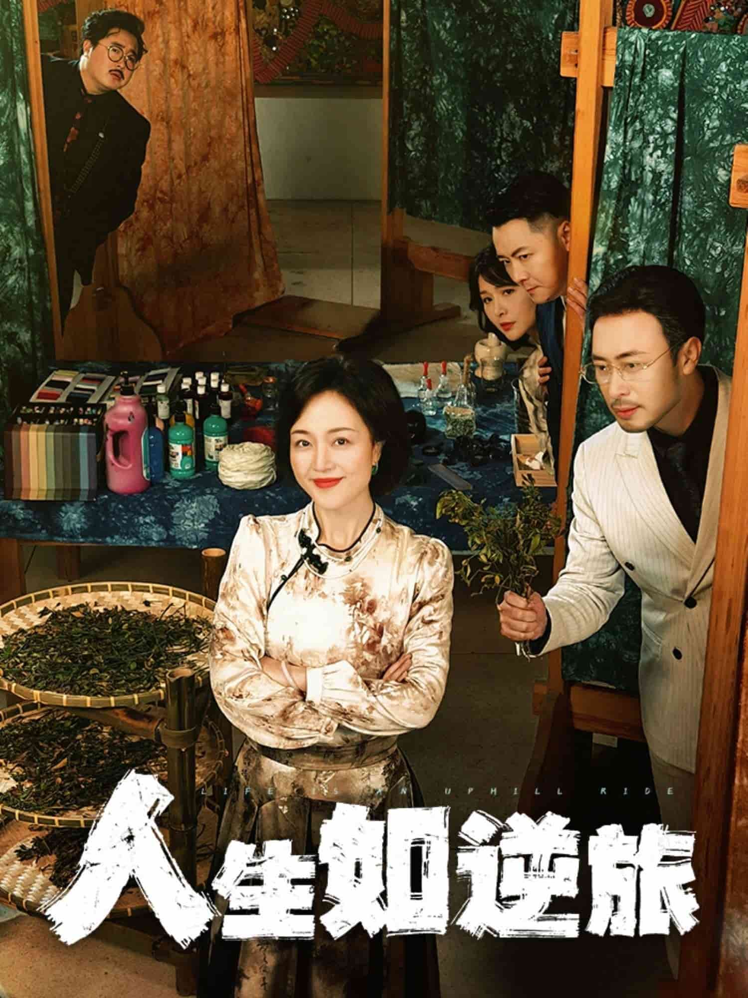 人生如逆旅 第18集