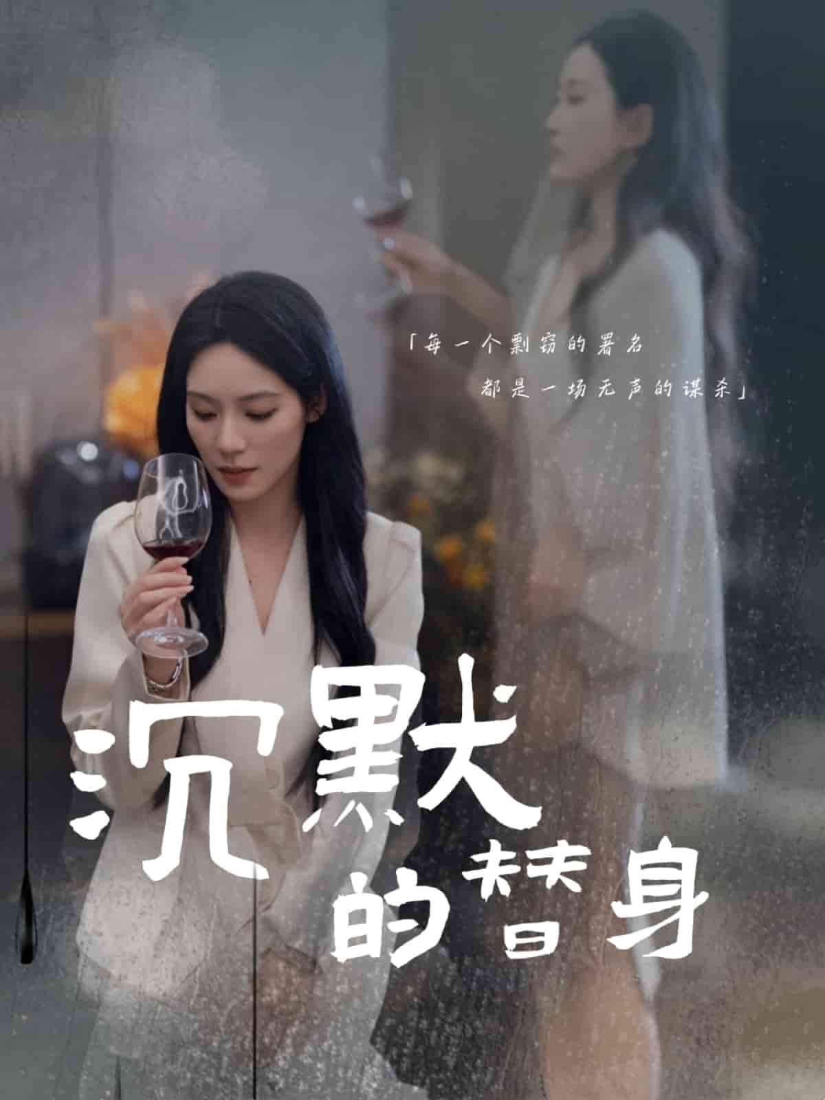 沉默的疯子 第13集