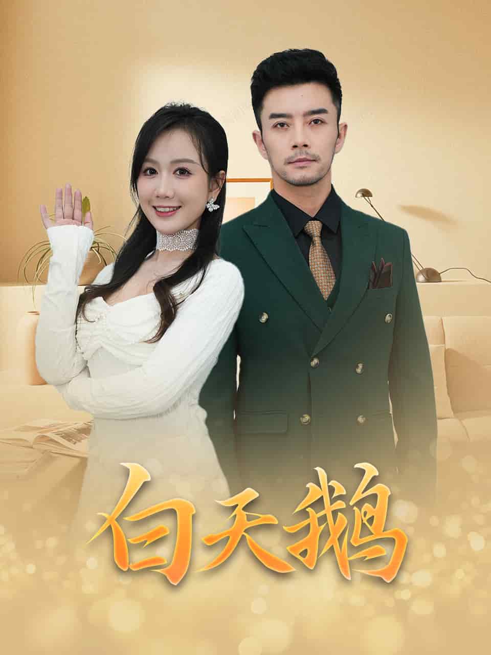 白天鹅 第9集