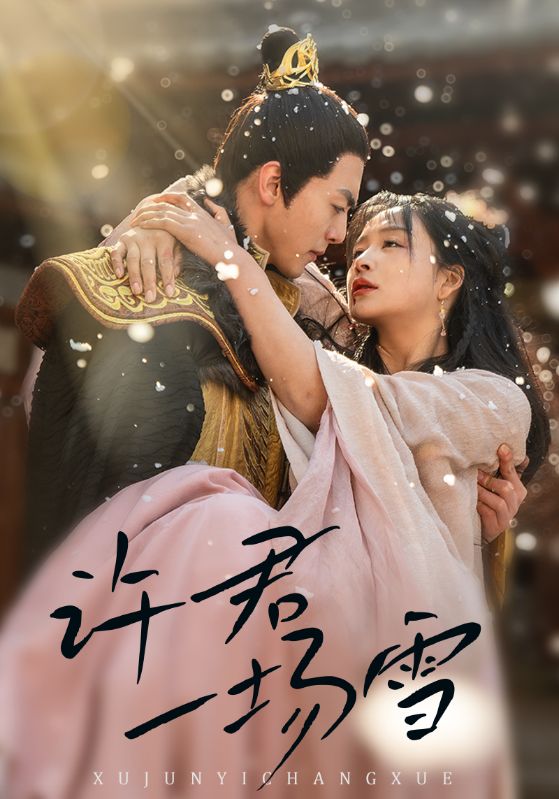 许君一场雪 第19集
