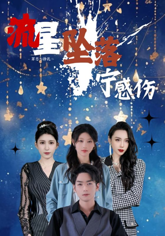 流星坠落宁感伤 第36集