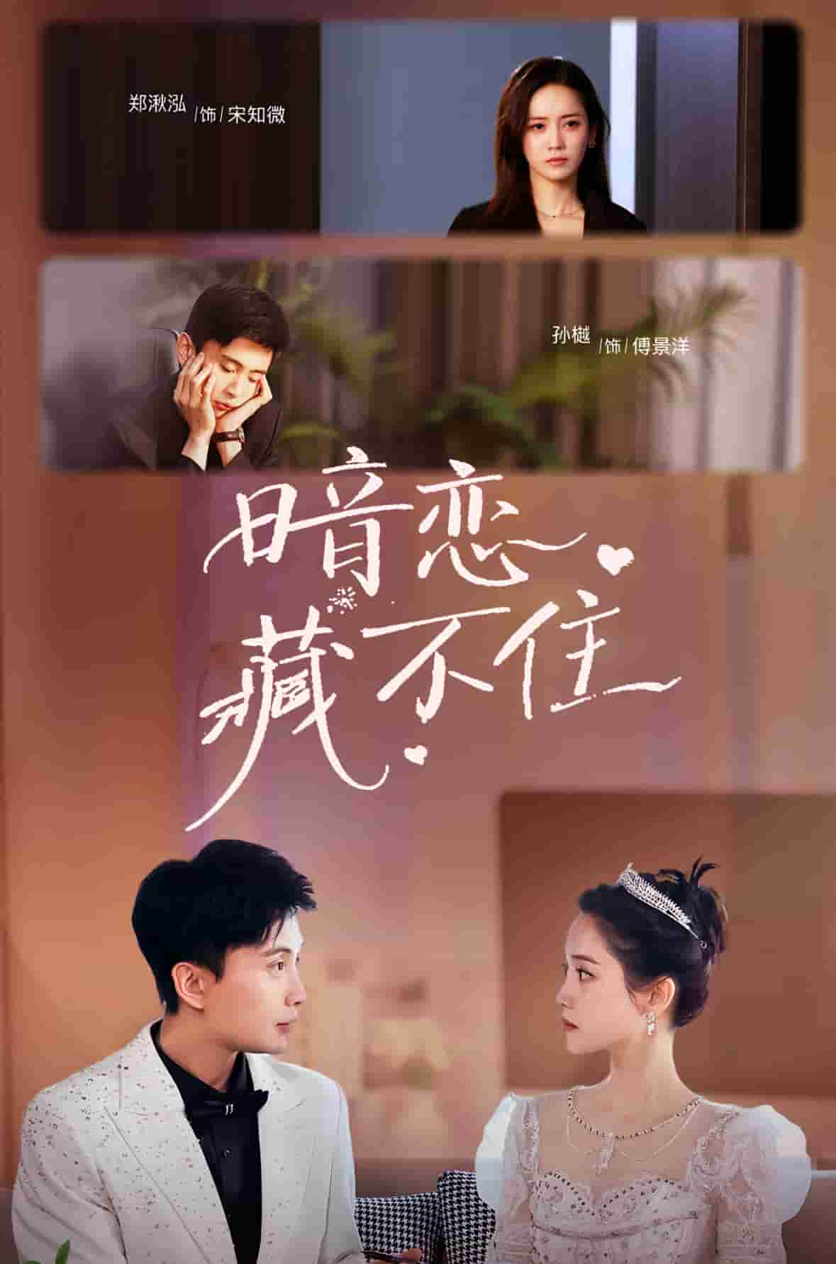 暗恋藏不住 第04集