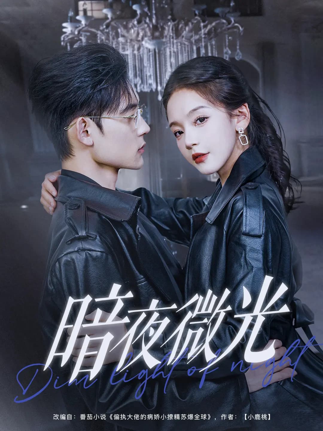 暗夜微光 第20集