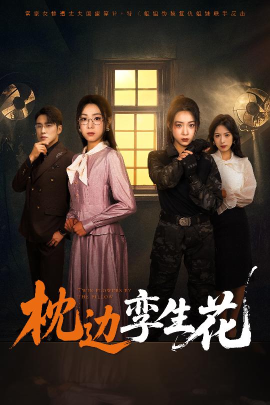 枕边孪生花 第41集