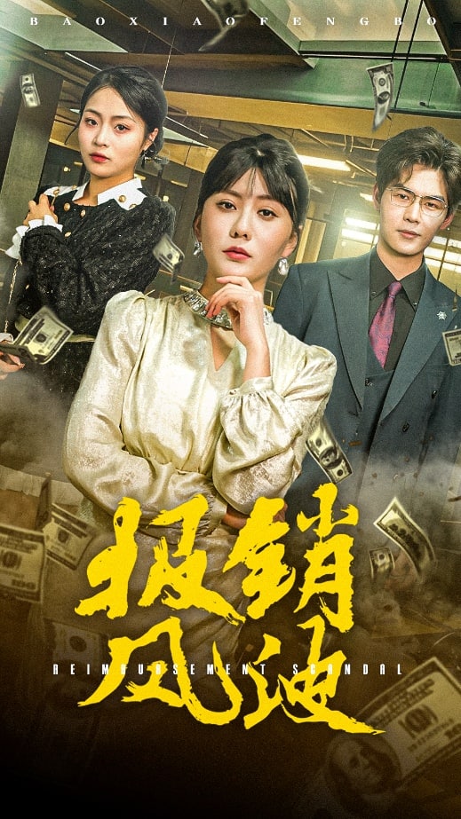报销风波 第10集