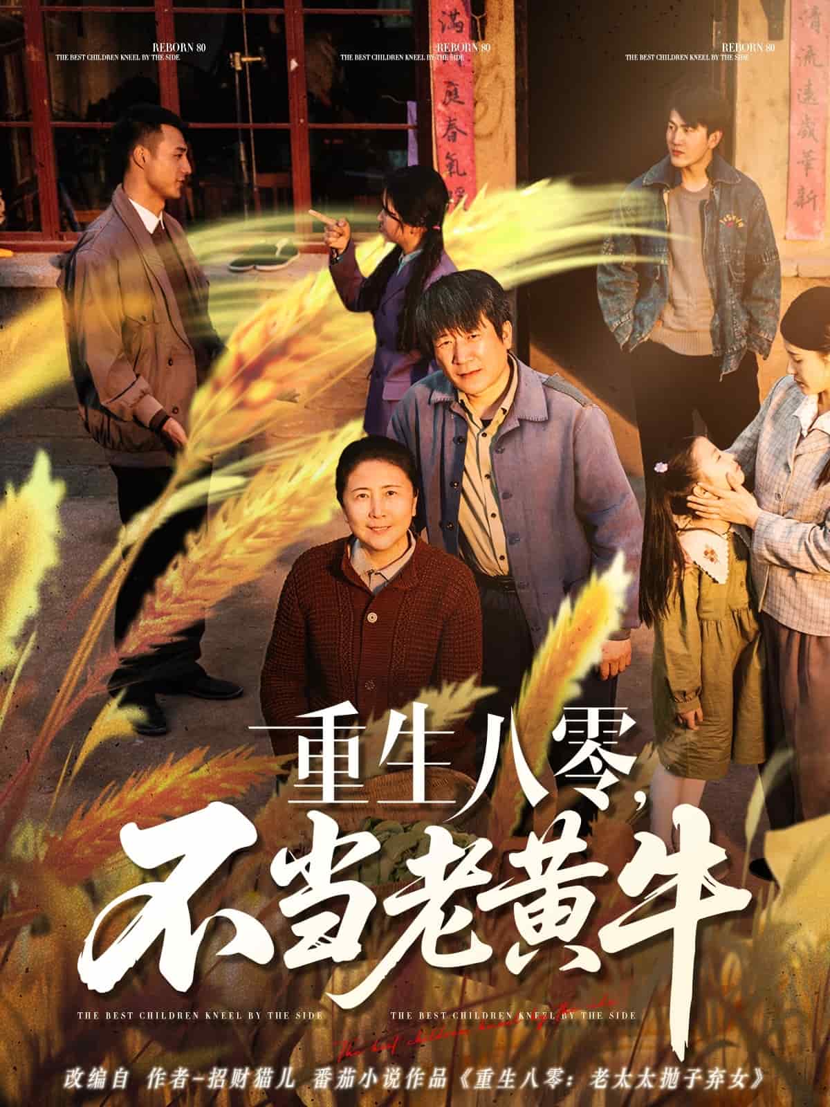 重生八零，不当老黄牛 第7集