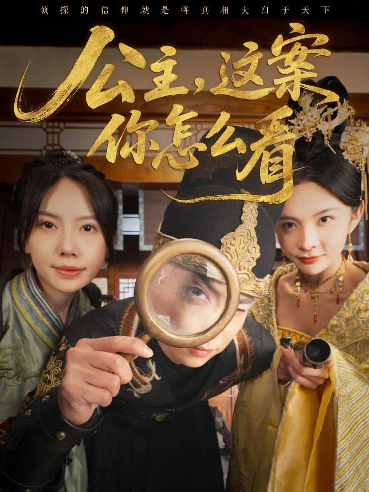 公主，这案你怎么看 第79集