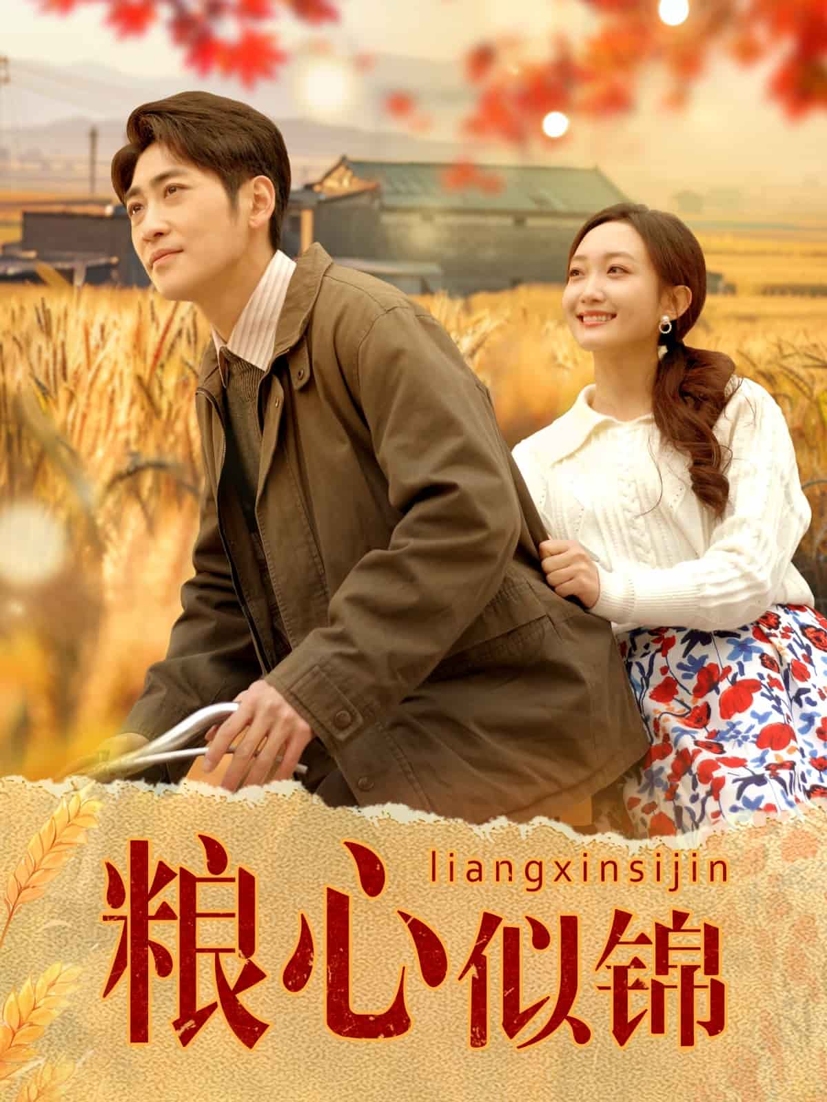 粮心似锦 第12集