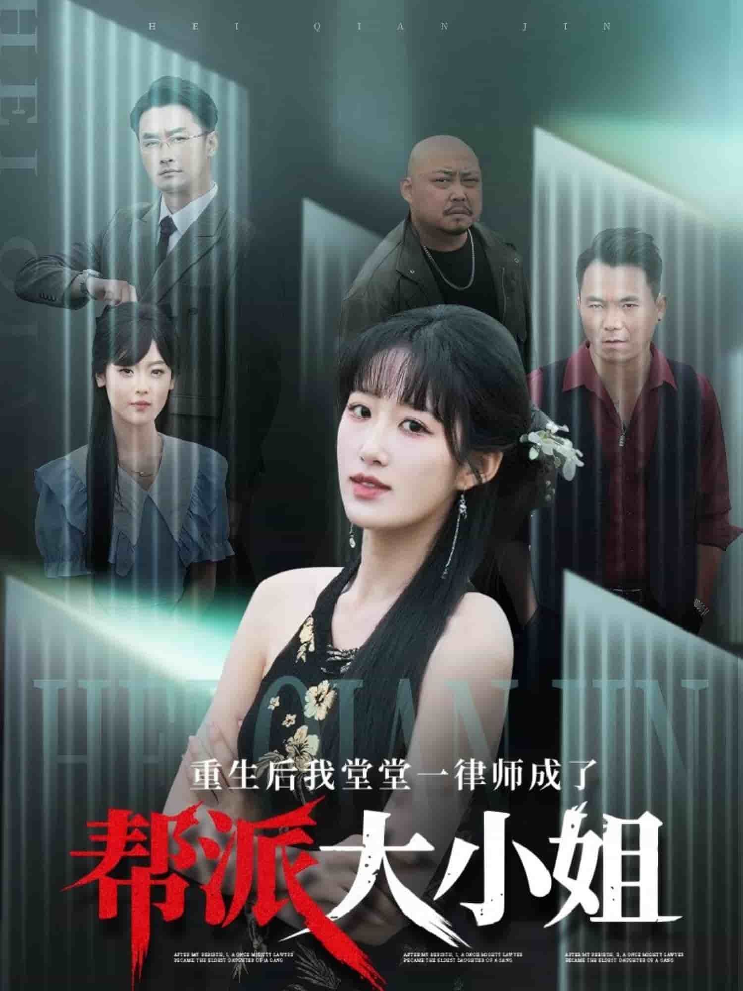 重生后我堂堂一律师成了帮派大小姐 第3集