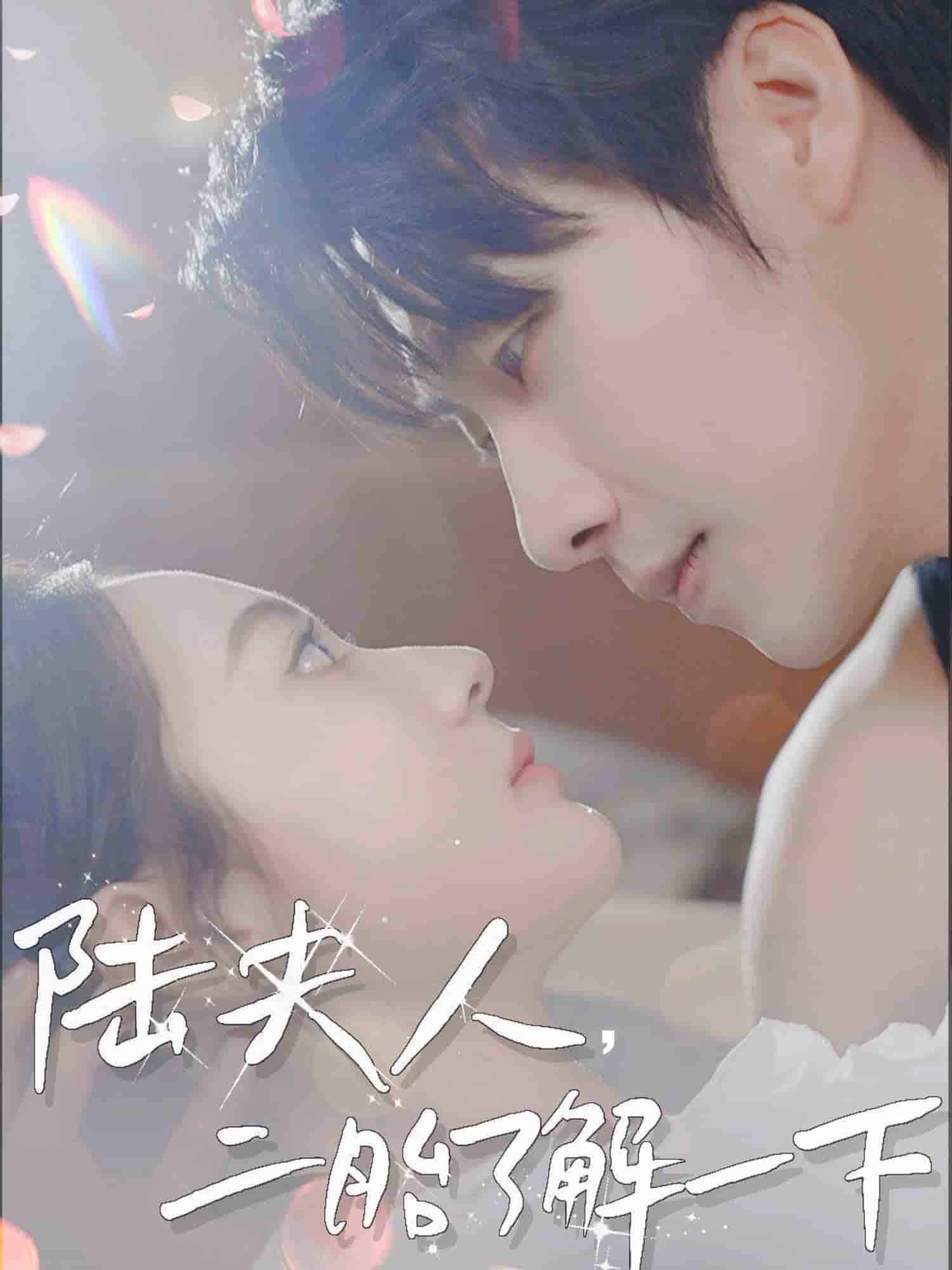 陆夫人，二胎了解一下 第1集
