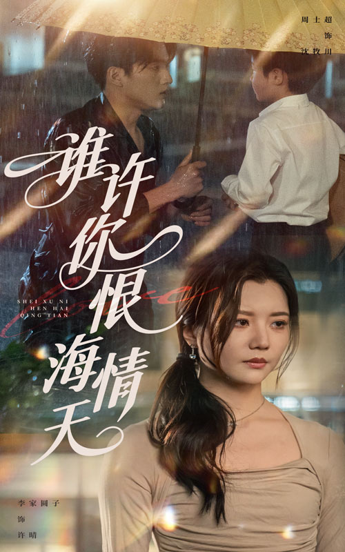 谁许你恨海情天 第40集