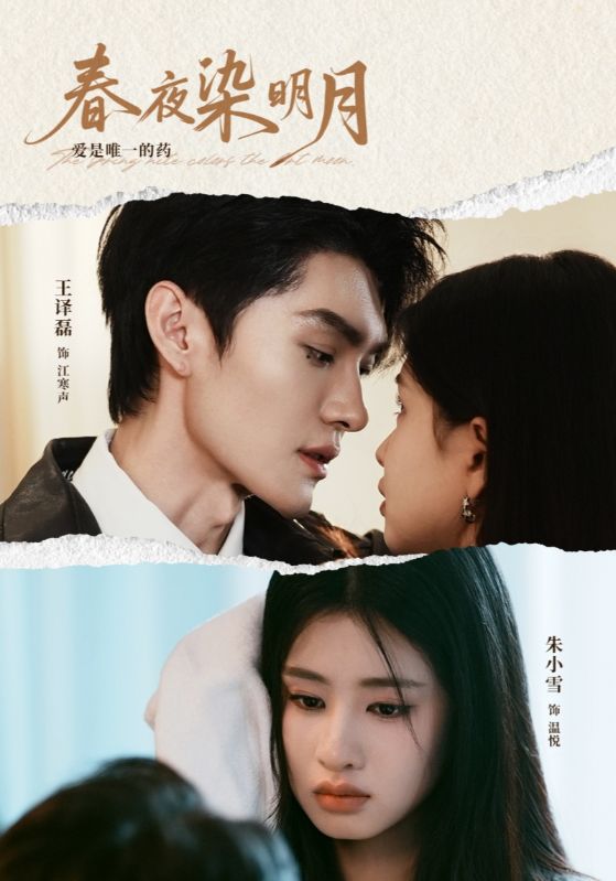 春夜染明月 第13集