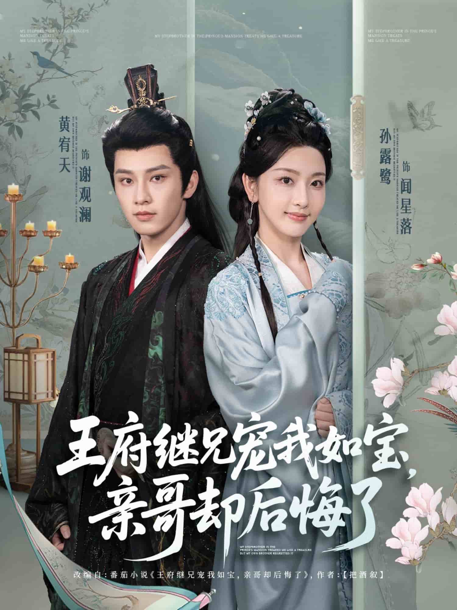 王府继兄宠我如宝，亲哥却后悔了 第16集