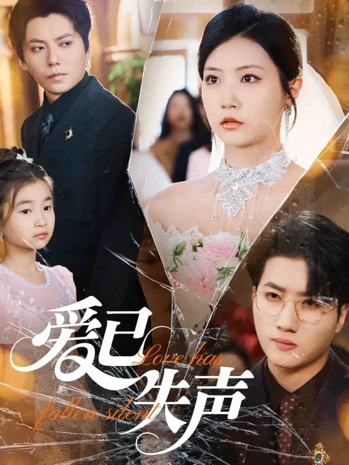 爱已失声 第29集
