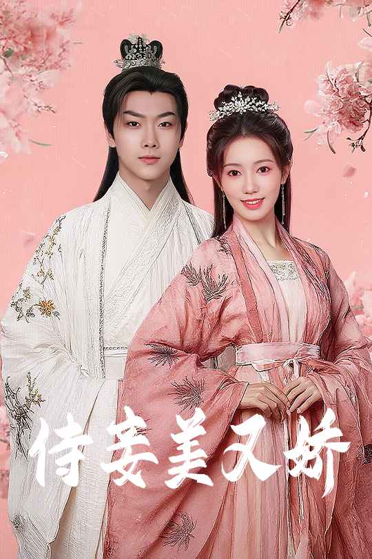 侍妾美又娇 第13集