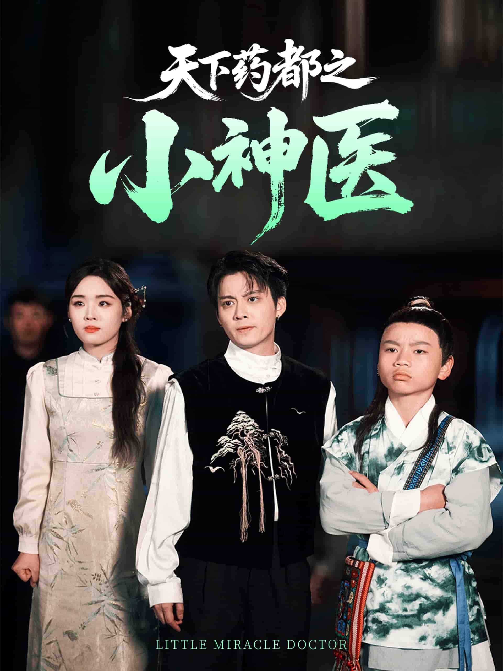 天下药都之小神医 第32集
