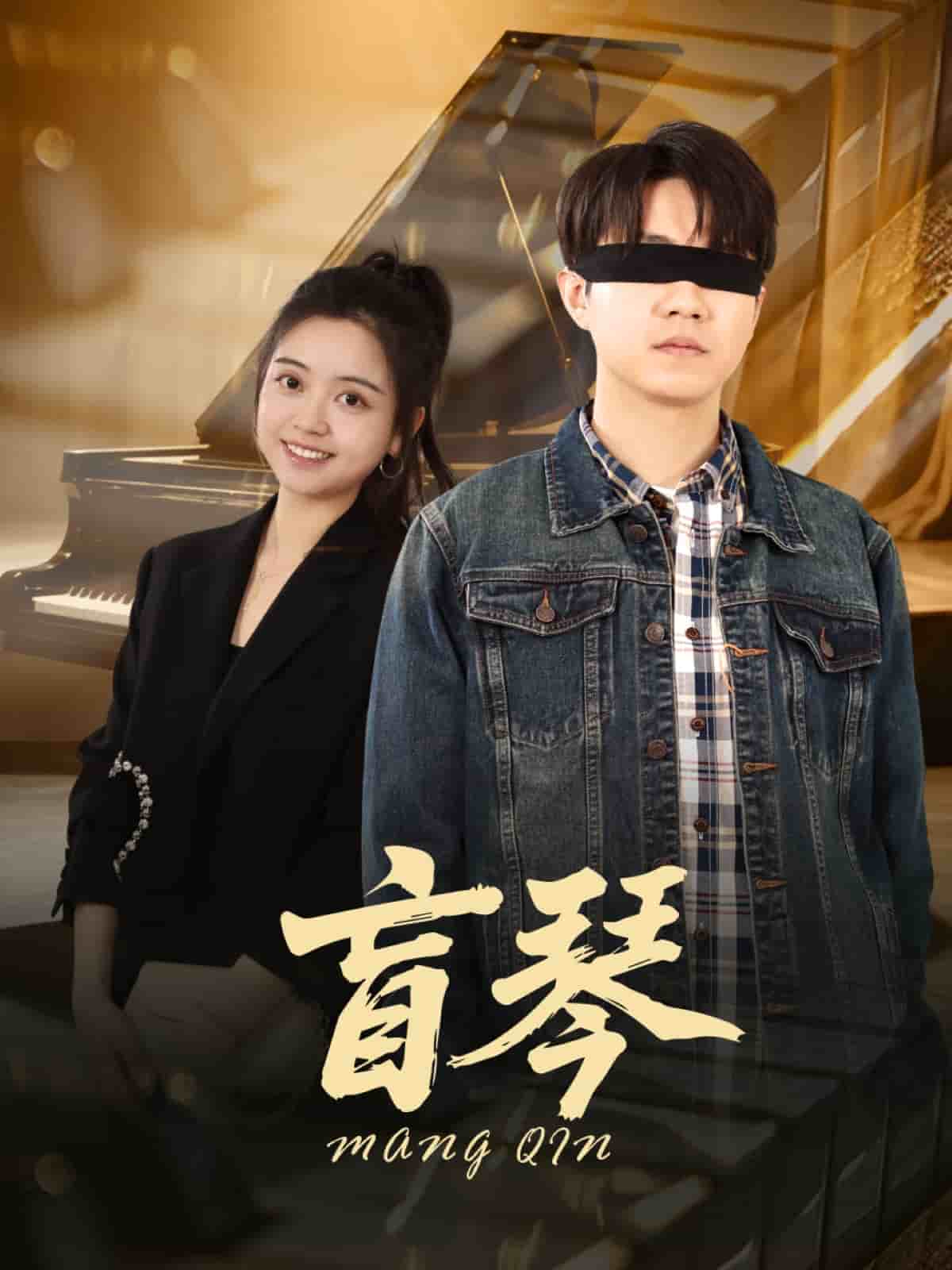 盲琴 第14集